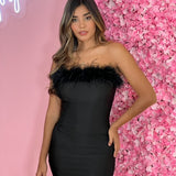 Vestido Negro Plumas